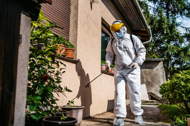 Best Pest Inspection Near Me  in Pretty Bayou, FL