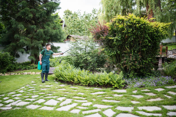 Best Ant Control Services  in Pretty Bayou, FL