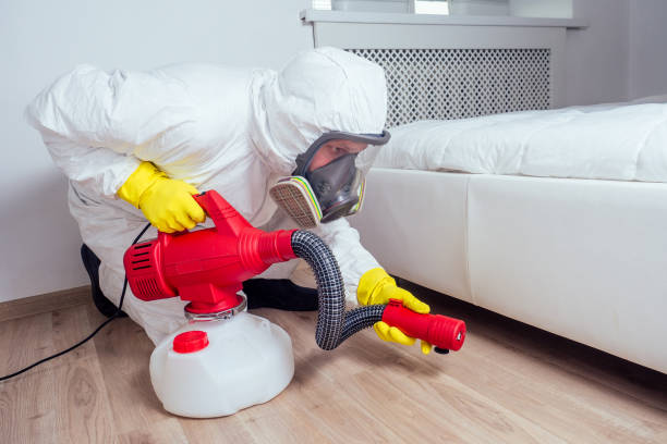 Best Local Pest Control Services  in Pretty Bayou, FL